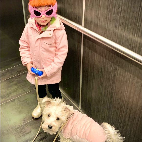 Meet your Posher, Linda - Picture 6 of 7